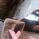 Illustration for article titled My New Off-Road Project Is This Rust-Tacular 1948 Jeep; Pray For Me